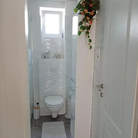 Apartment Hasanovic Rukavac